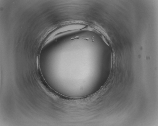 X0000072490013200608041427