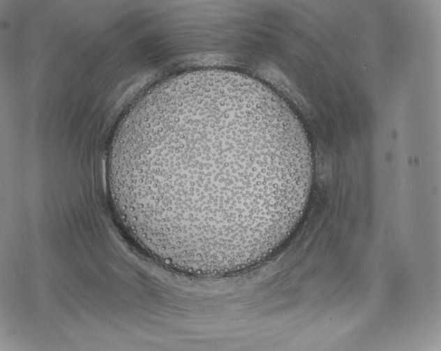 X0000072490014200608041427