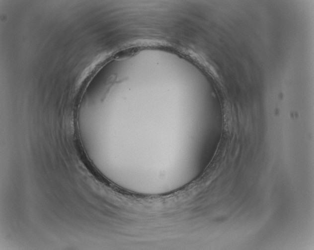 X0000072490015200608041427