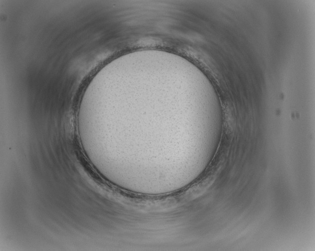 X0000072490016200608041427