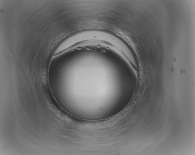 X0000072490017200608041427