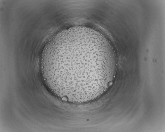 X0000072490018200608041427