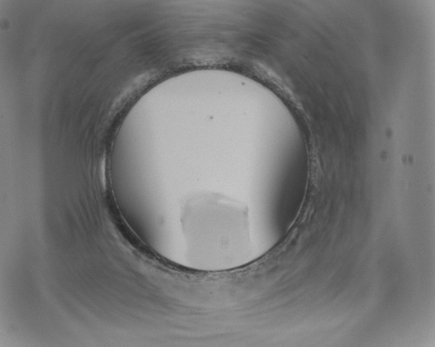 X0000072490019200608041427