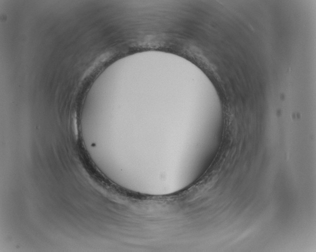 X0000072490020200608041427