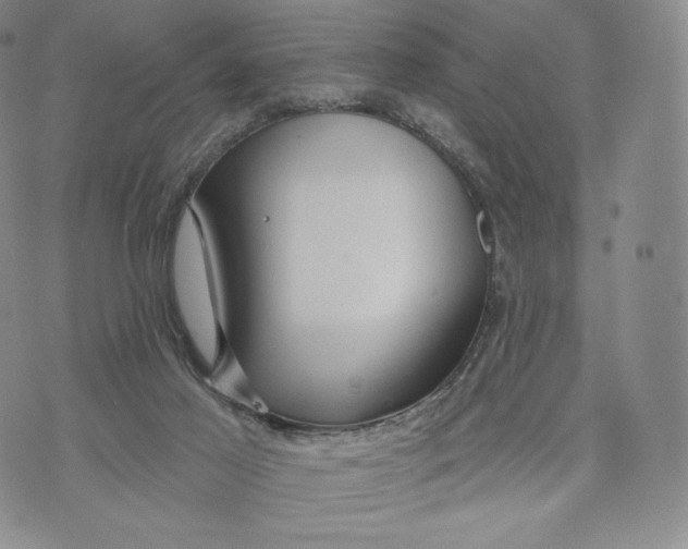 X0000072490021200608041427