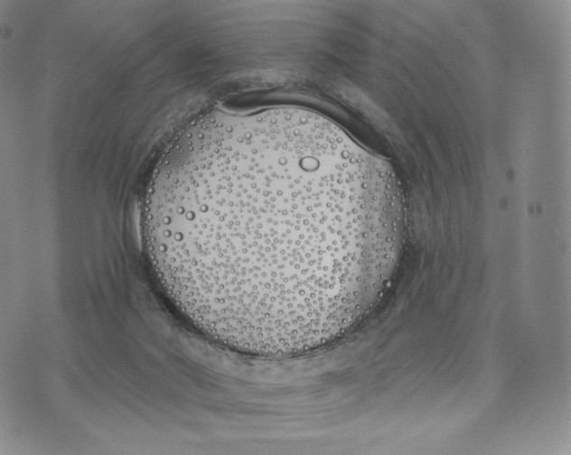 X0000072490022200608041427