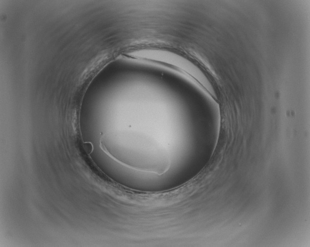 X0000072490023200608041427