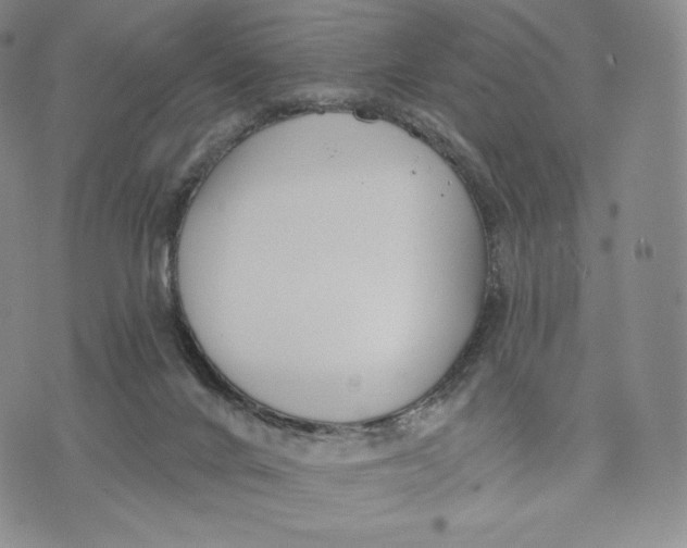 X0000072490024200608041427