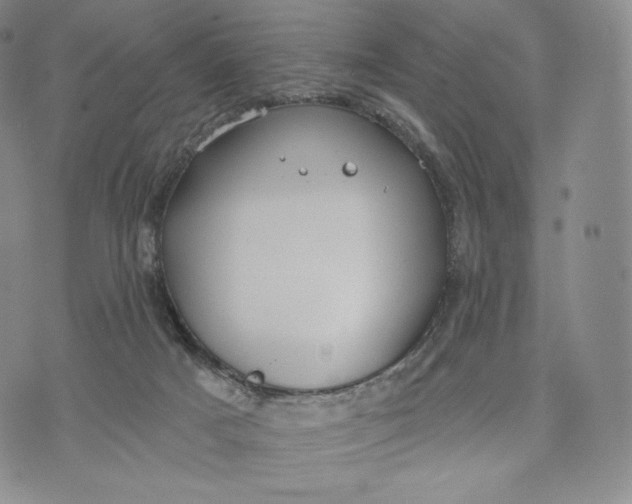 X0000072490025200608041427