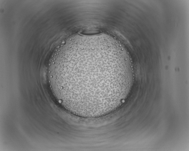 X0000072490026200608041427