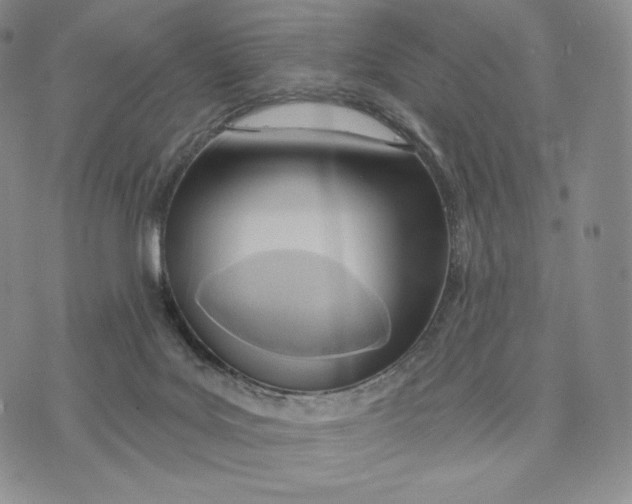 X0000072490027200608041427