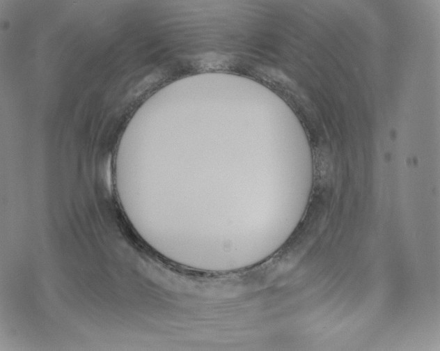 X0000072490028200608041427