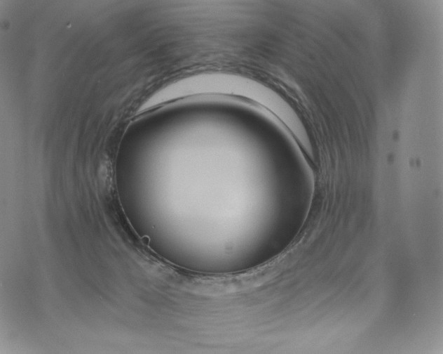 X0000072490029200608041427