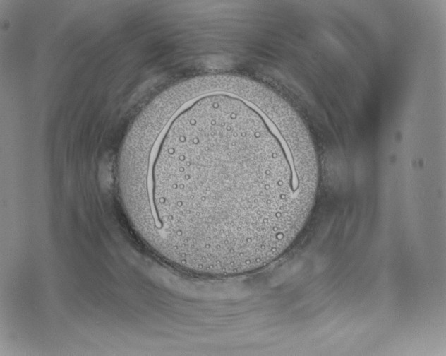 X0000072490032200608041427