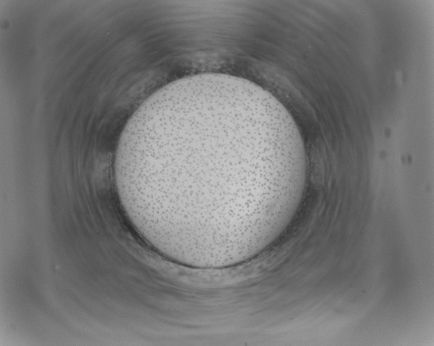 X0000072490034200608041427