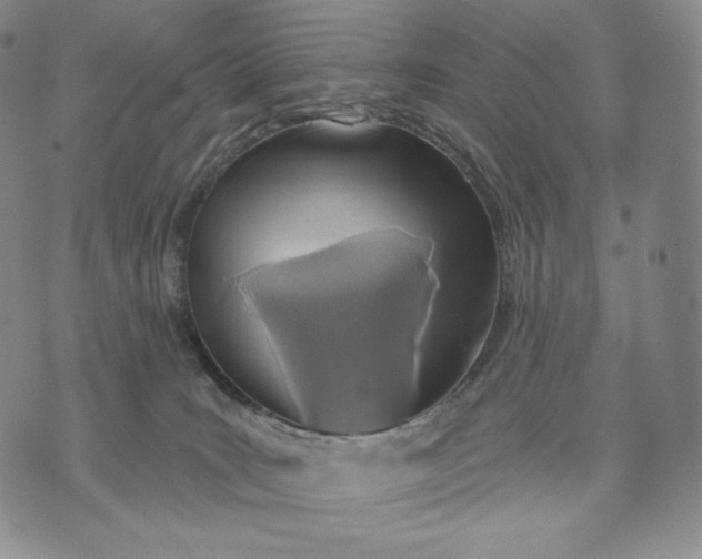 X0000072490035200608041427