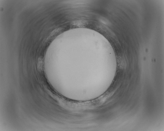 X0000072490036200608041427