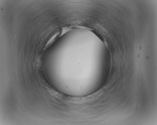 X0000072490037200608041427