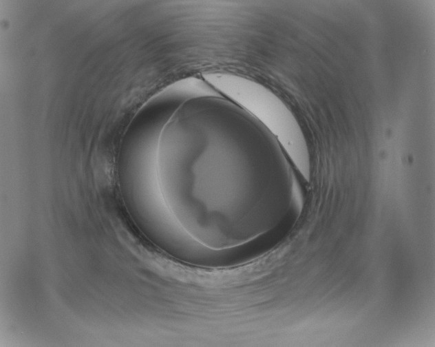 X0000072490039200608041427