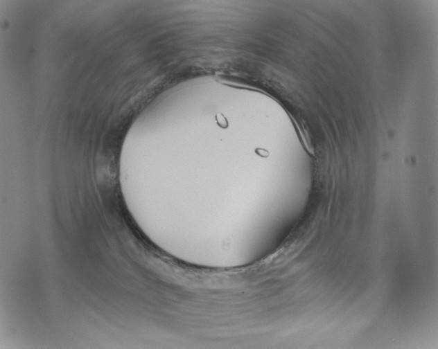 X0000072490040200608041427