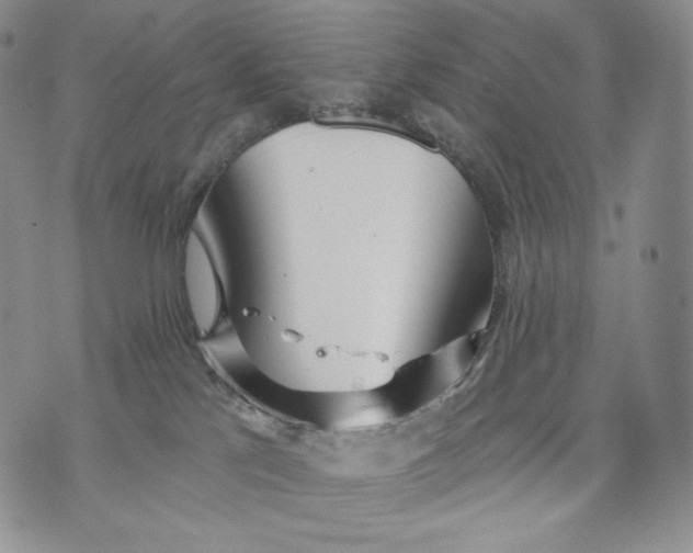 X0000072490041200608041427