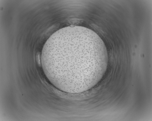 X0000072490042200608041427