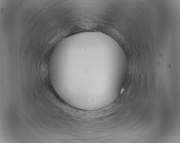 X0000072490043200608041427