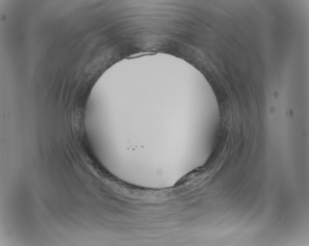 X0000072490044200608041427