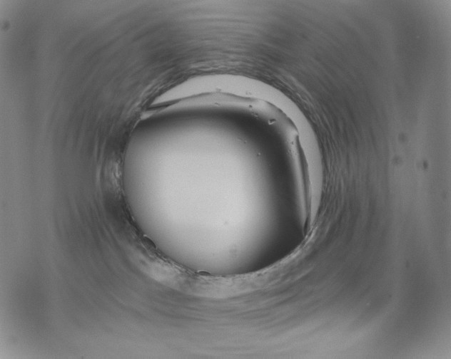 X0000072490045200608041427