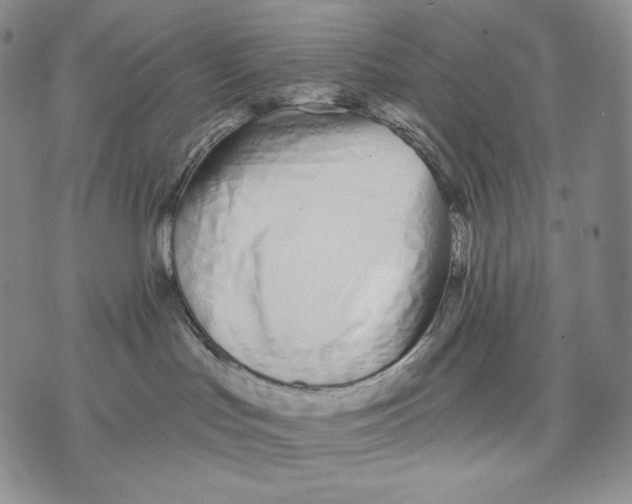 X0000072490047200608041427