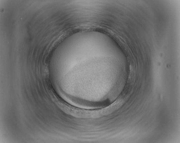 X0000072490048200608041427