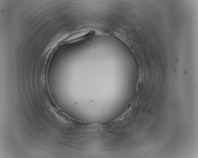 X0000072490050200608041426