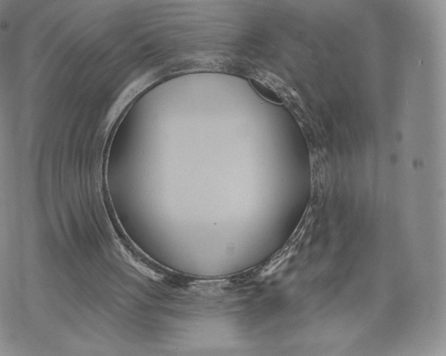 X0000072490051200608041426