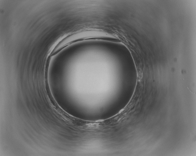 X0000072490052200608041426