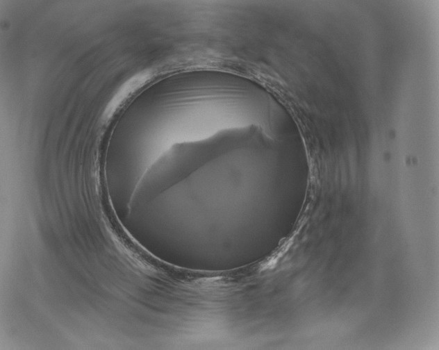 X0000072490054200608041426