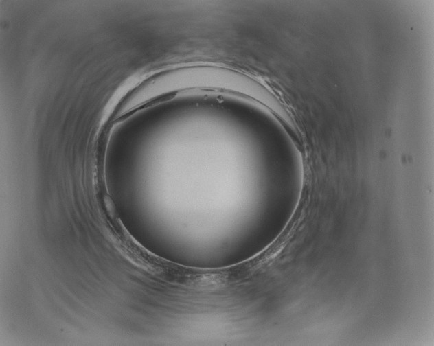 X0000072490056200608041426