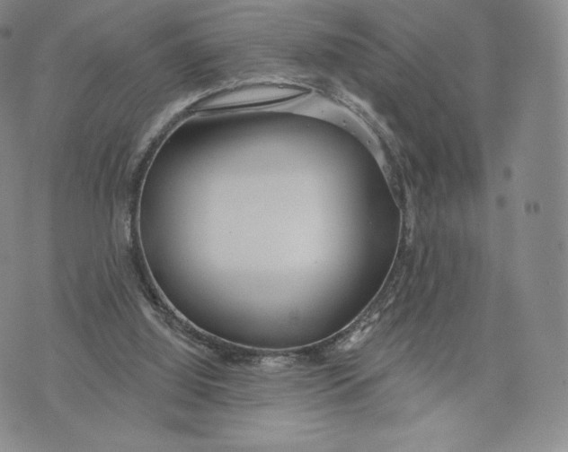 X0000072490060200608041426