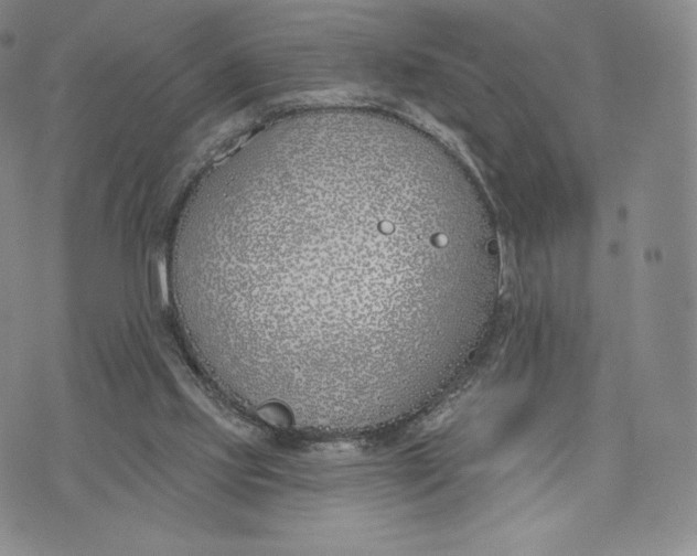 X0000072490061200608041426