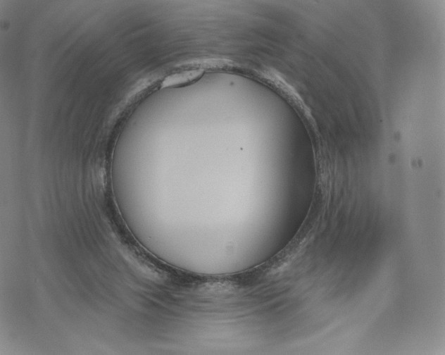 X0000072490063200608041426