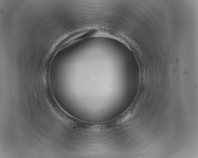 X0000072490064200608041426