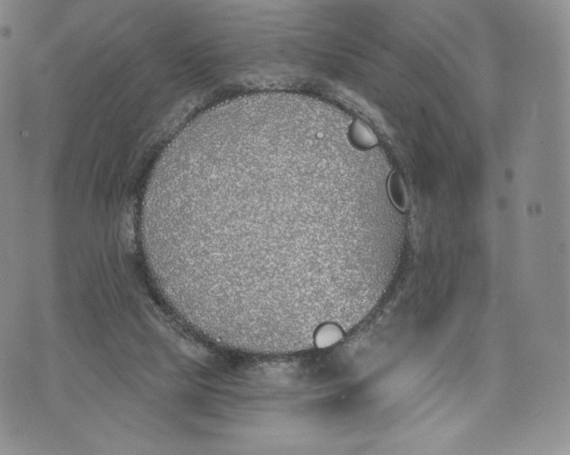 X0000072490065200608041426