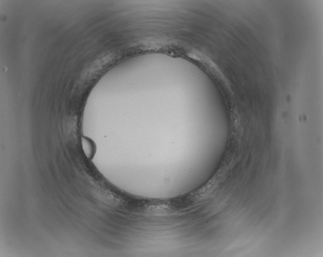 X0000072490066200608041426