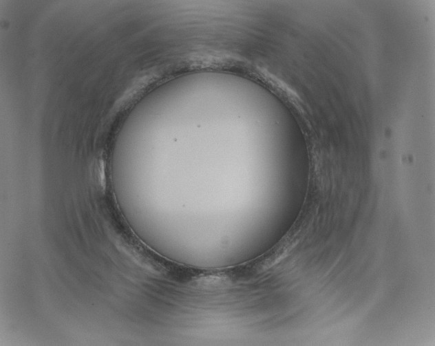 X0000072490067200608041426