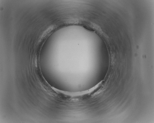 X0000072490068200608041426