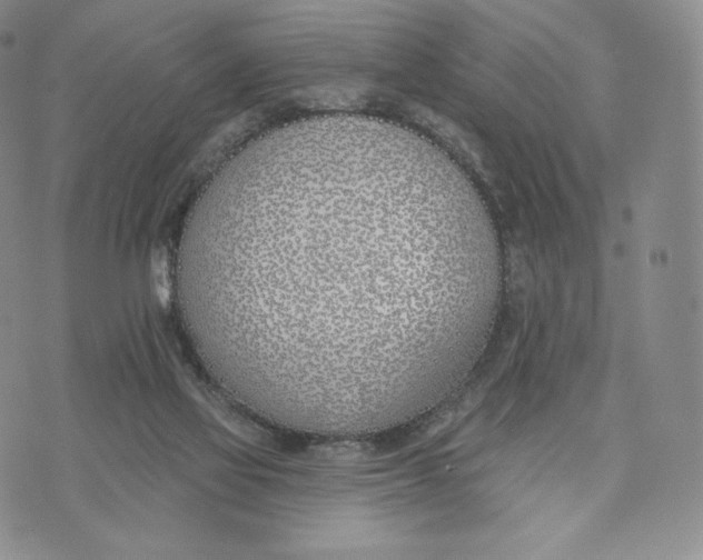 X0000072490069200608041426