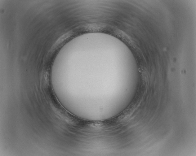 X0000072490071200608041426