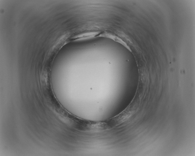 X0000072490072200608041426