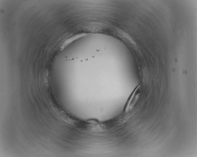 X0000072490073200608041426