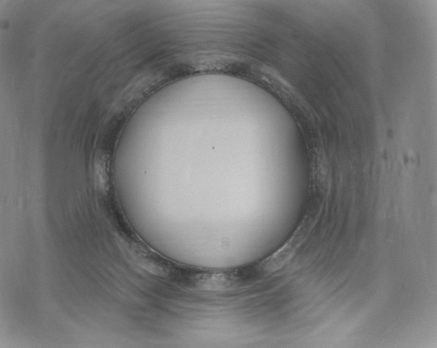 X0000072490074200608041426