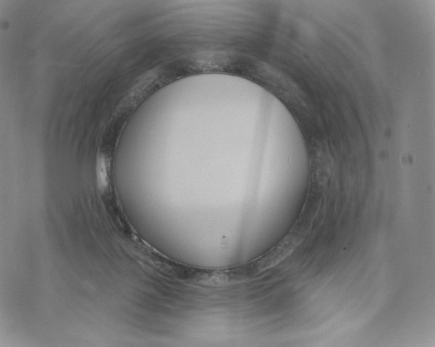 X0000072490075200608041426